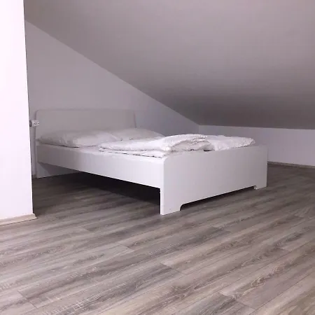 Altstadt 1 Διαμέρισμα *