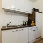 Altstadt 1 شقة